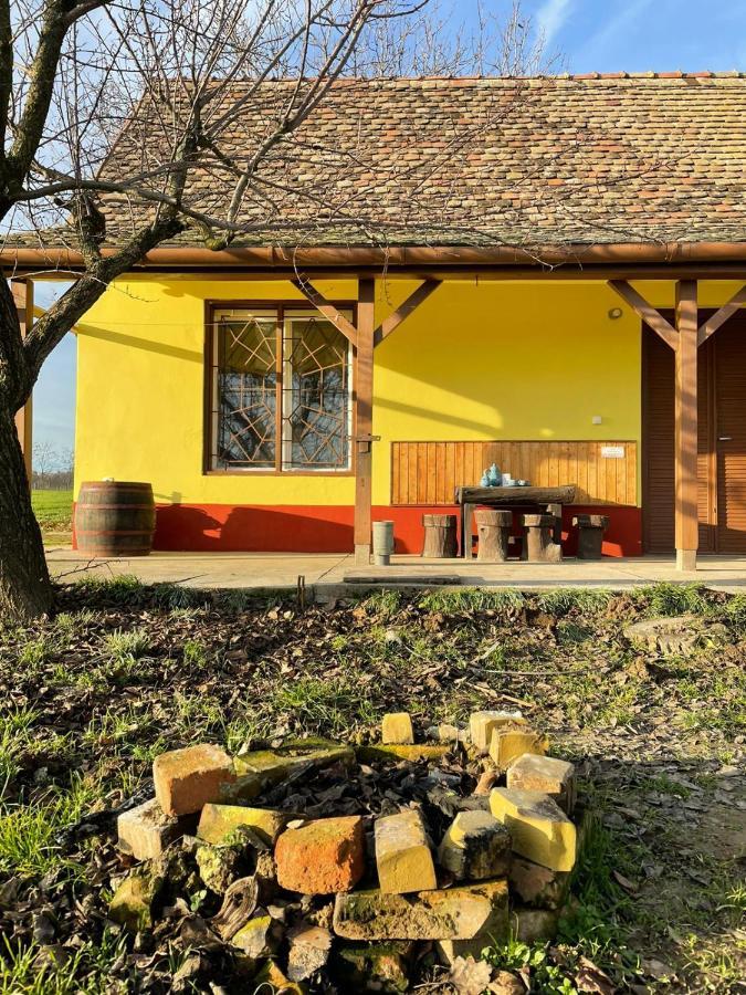 Het Hongaarse Wijnhuis Mohács エクステリア 写真