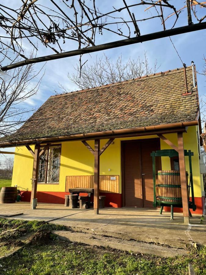 Het Hongaarse Wijnhuis Mohács エクステリア 写真