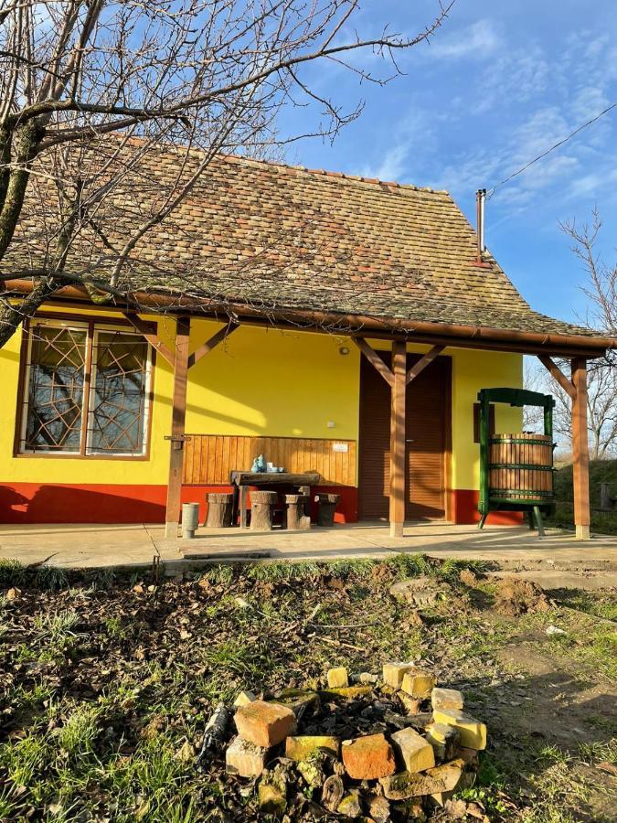 Het Hongaarse Wijnhuis Mohács エクステリア 写真